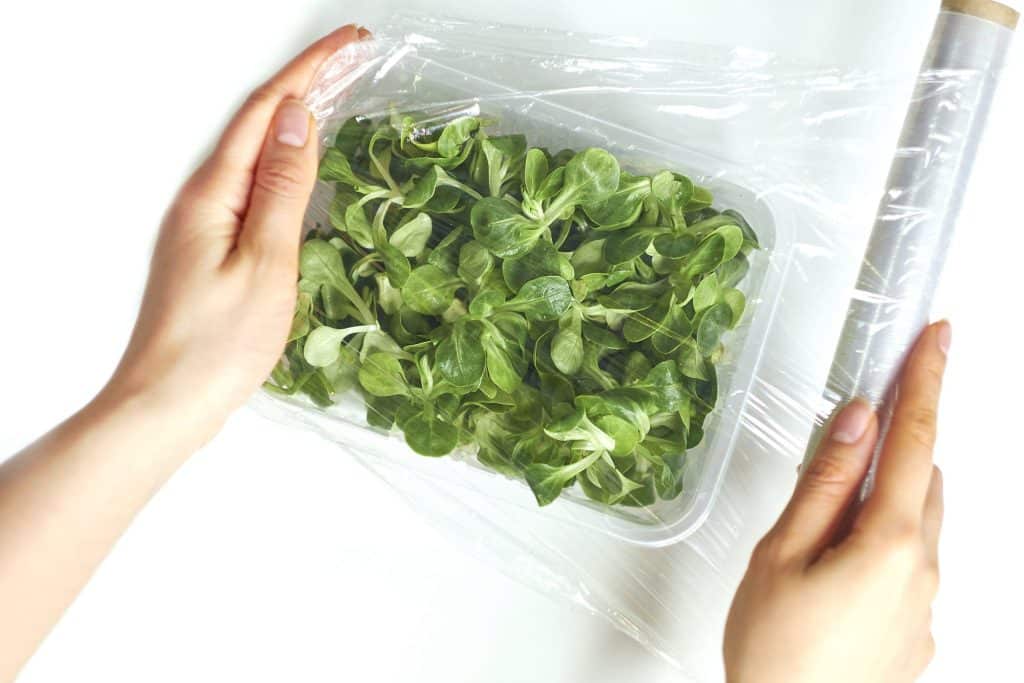 Two hands are covering a plastic container filled with fresh green leafy vegetables using a sheet of clear plastic wrap. The scene is set against a plain white background. | High 5 Plumbing, Heating & Cooling