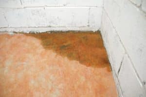 A damp, discolored patch of water damage is visible along the base of a white cinder block wall and floor in the corner of a room, indicating possible plumbing leaks and highlighting slab leak seriousness. | High 5 Plumbing, Heating & Cooling