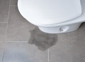 A puddle of water is visible on a gray tiled floor next to the toilet base, suggesting a possible toilet leak after flushing. | High 5 Plumbing, Heating & Cooling